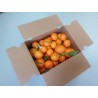 Caja de Mandarinas 5Kg
