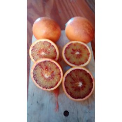 Caja de Naranjas Sanguinelli - 7kg