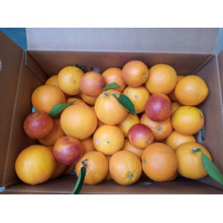Caja mixta Naranjas LaneLate+ Naranjas zumo Sanguinelli 15kg