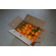 Caja de Naranjas 15Kg - Variedad Navelina